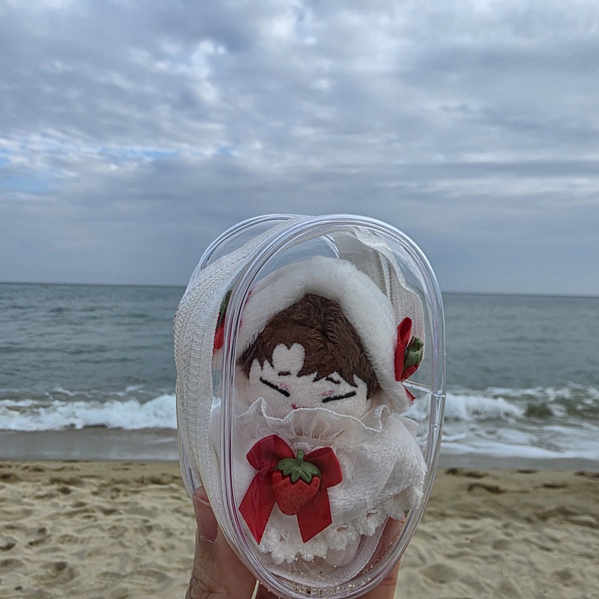 anotherica's tweet photo. 왼쪽은 이벤트 참여 오른쪽은 그냥 해운대에 데려간 거 자랑하고 싶어서요🤭 https://t.co/0NGjFCvhR1