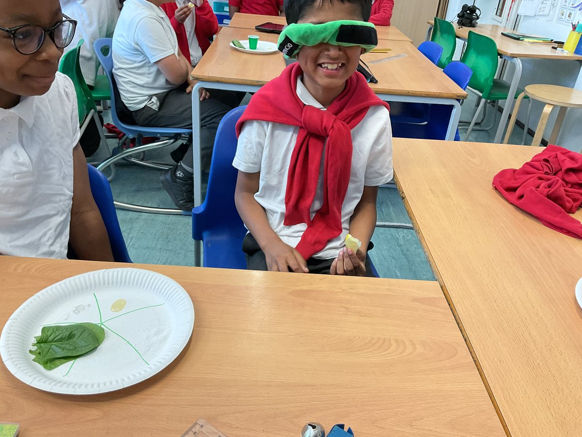 MayflowerSch's tweet image. Rousseau completed a blind taste test for our D&amp;amp;T lessons. We had to identify sour, sweet, bitter, umami and salty foods without looking. #year3 #DT
