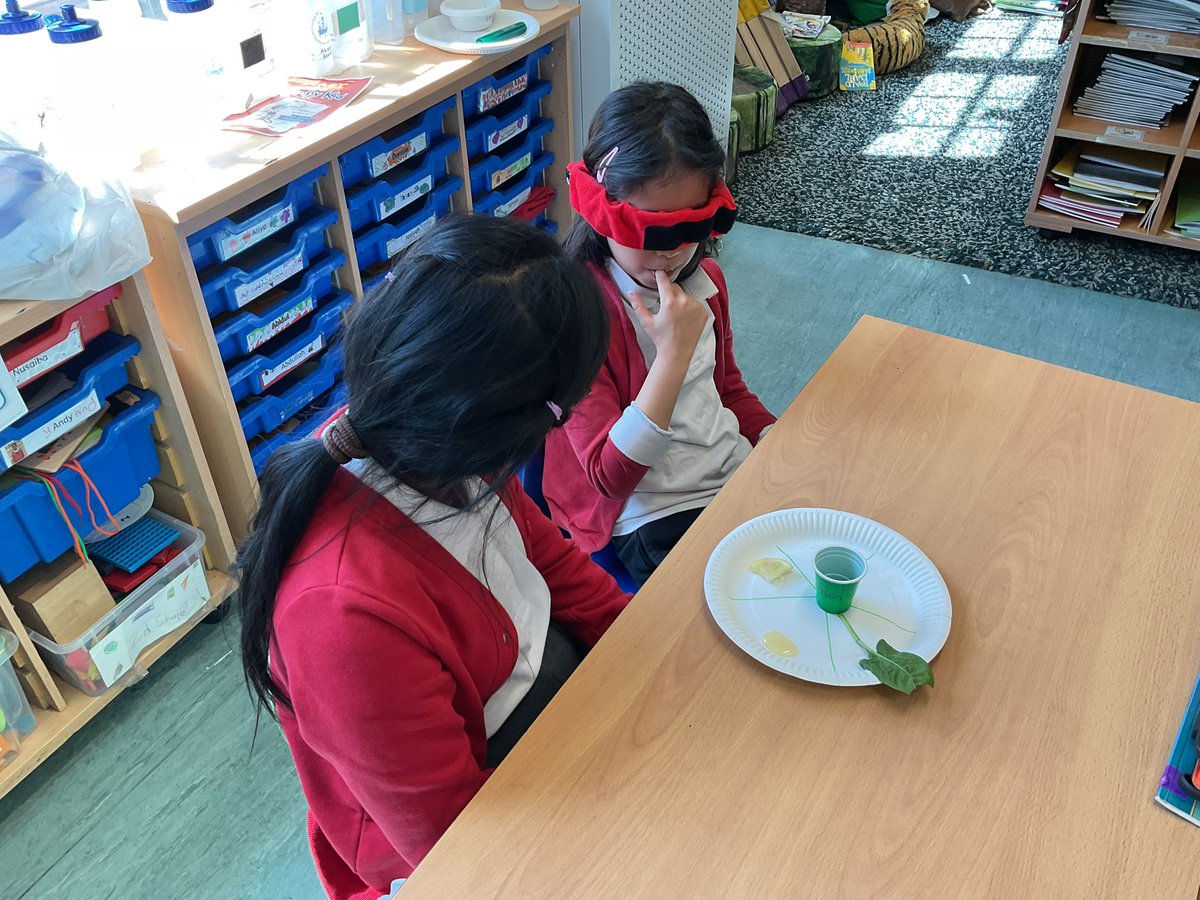 MayflowerSch's tweet image. Rousseau completed a blind taste test for our D&amp;amp;T lessons. We had to identify sour, sweet, bitter, umami and salty foods without looking. #year3 #DT