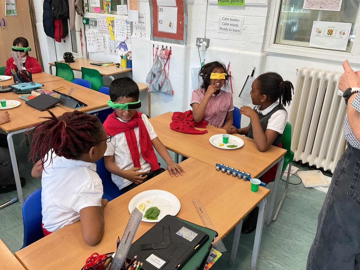 MayflowerSch's tweet image. Rousseau completed a blind taste test for our D&amp;amp;T lessons. We had to identify sour, sweet, bitter, umami and salty foods without looking. #year3 #DT
