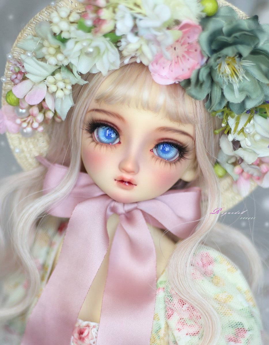 REGNODOLL tweet media