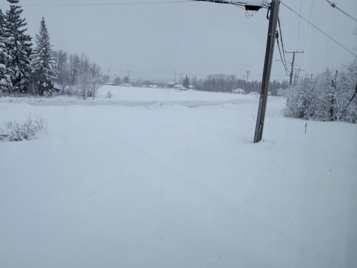 oh hey, its that guy 🇨🇦 tweet media