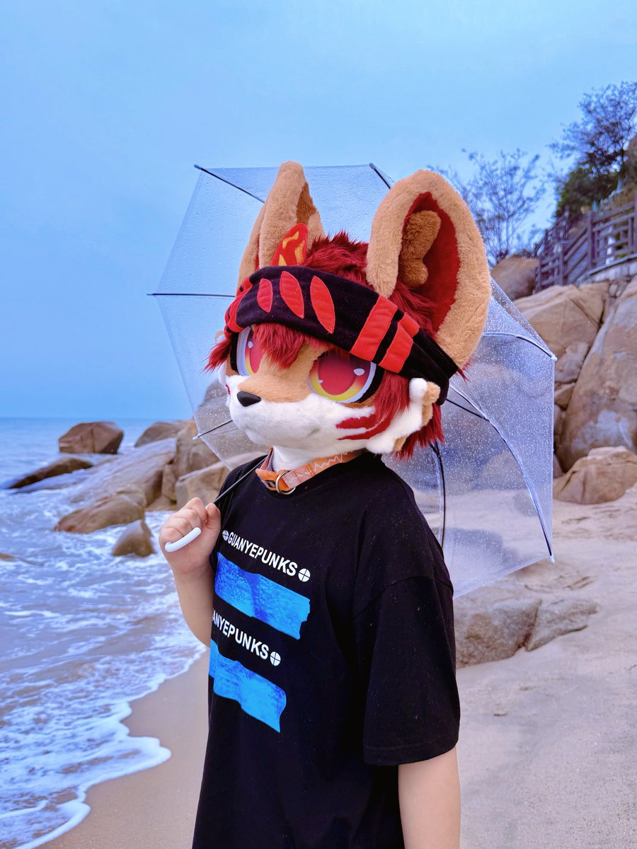 Shuhuapaidui's tweet photo. 和我一起看海么？🌊 #furry #fursuit #兽装 https://t.co/L1rdv7unTK