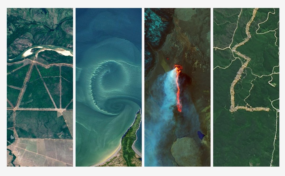Neil Larson tweet media
