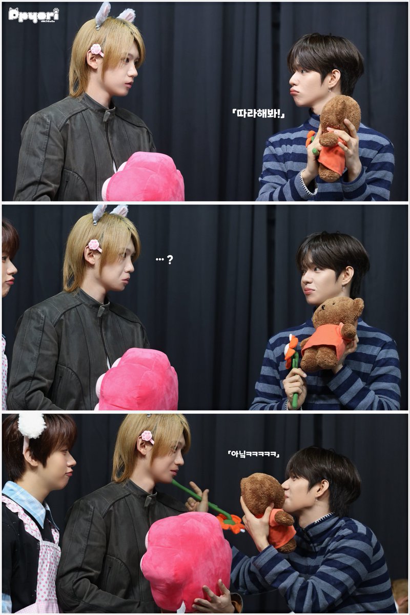 ︎︎뾰리 tweet media