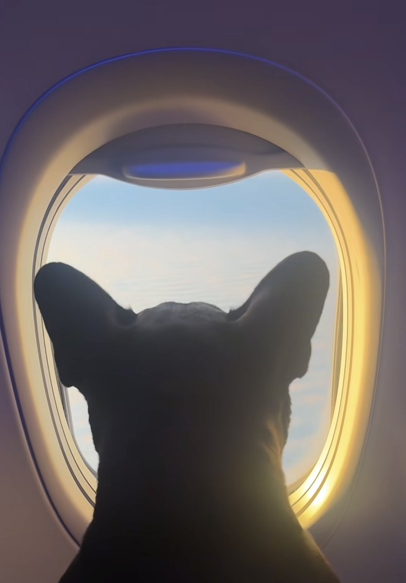 Jennifer ✨ tweet media