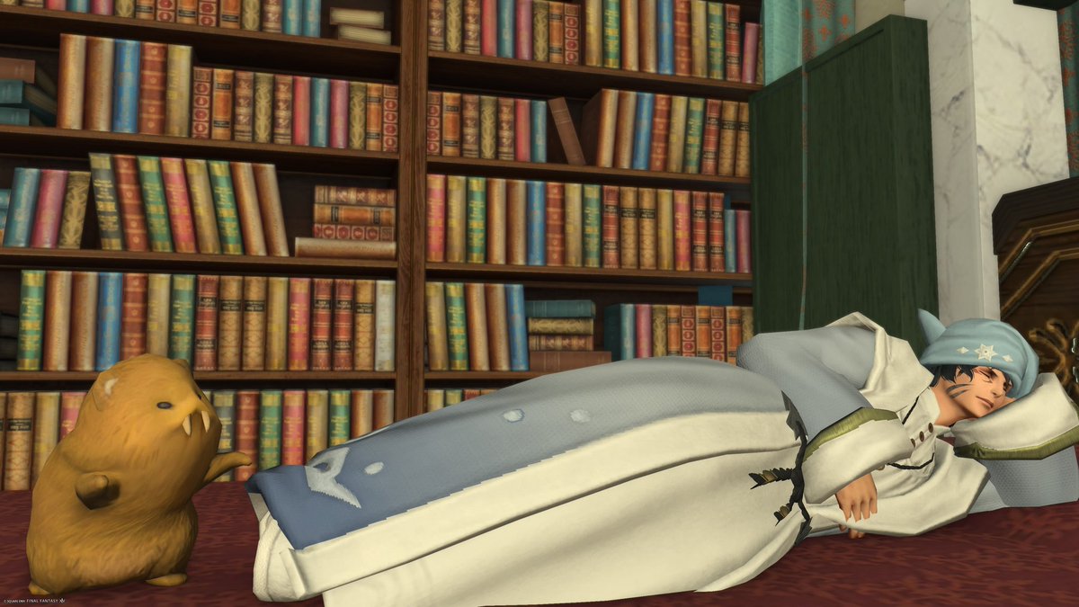 めぐみ(ヴぇる)🍞ゴールデンビーバーに逢いたい機工士 tweet media