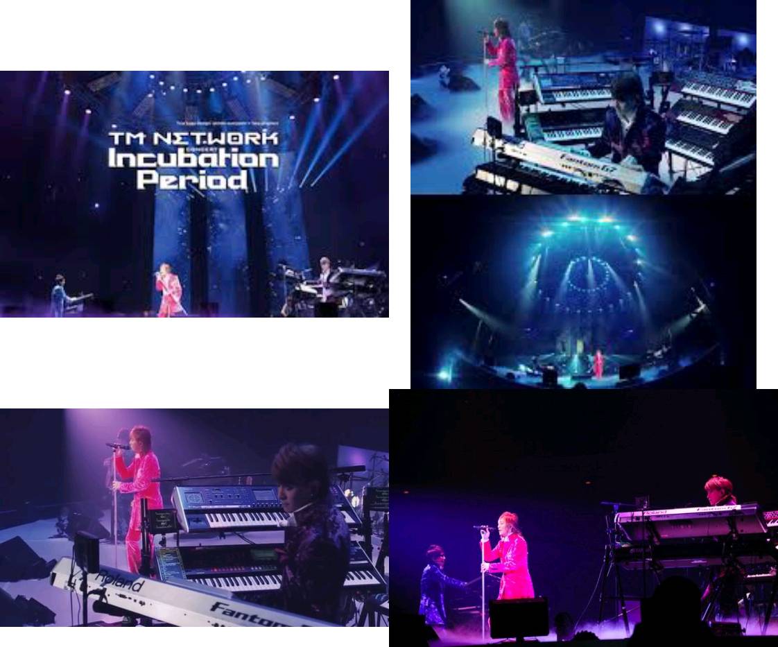 TM NETWORK「CONCERT-Incubation Period」 TM NETWORK CONCERT -Incubation Period-(Blu-ray) : TM NETWORK