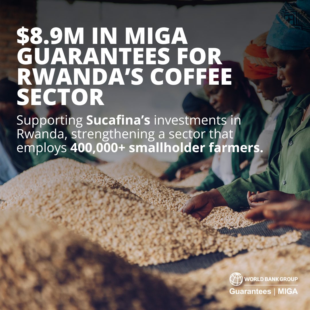MIGA's tweet photo. ☕ MIGA has issued $8.9M in guarantees to support @sucafina_eu investments in Rwanda

➡️Strengthening a coffee sector that supports 400,000+ smallholder farmers
➡️Advancing sustainable farming practices
➡️De-risking private investment and supporting jobs

Learn more: https://t.co/EBaRz064NO