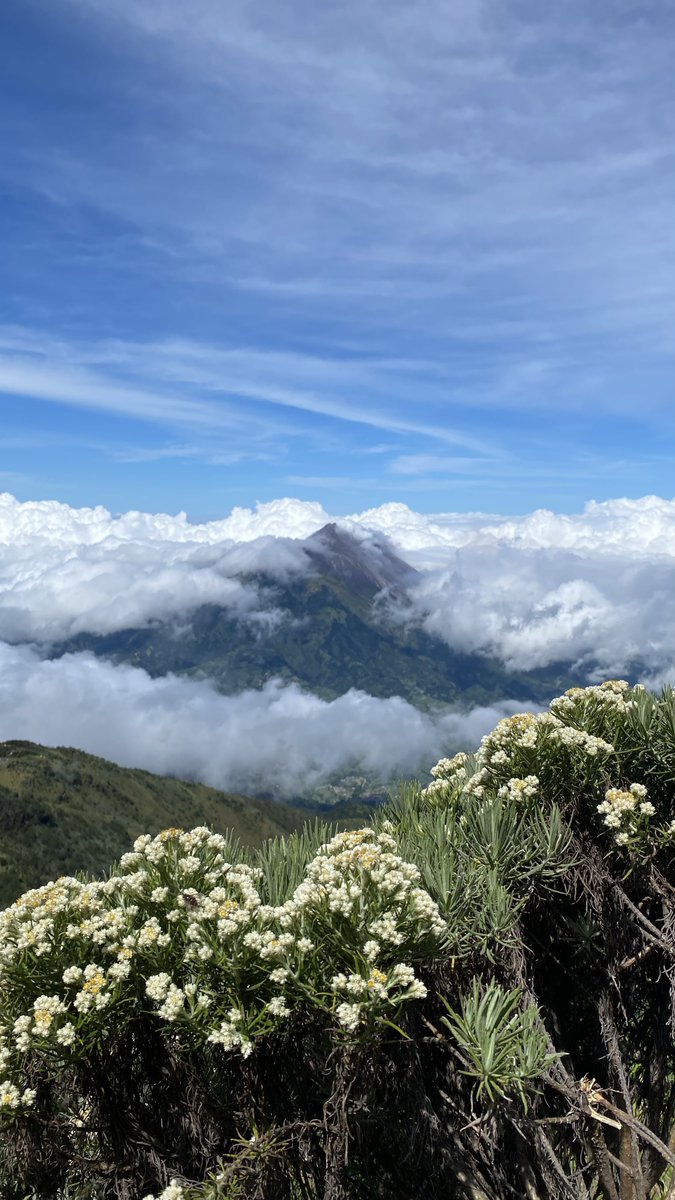 Solo Menfess tweet media