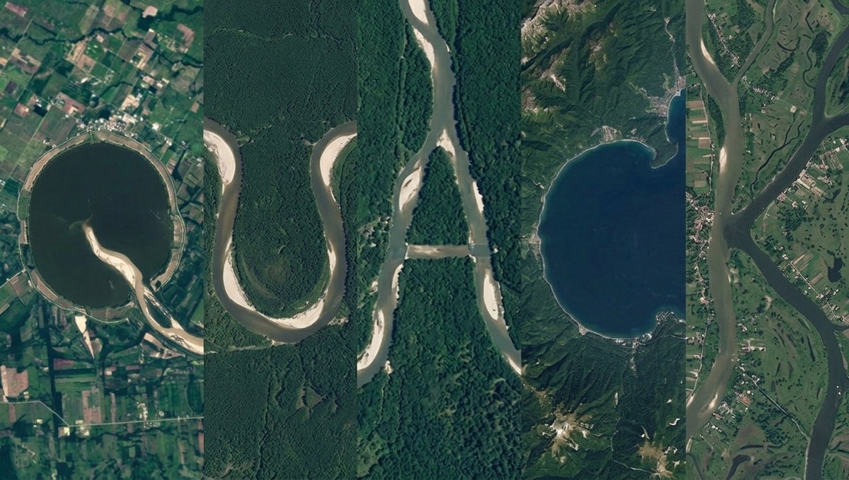 Wallchain Quacks tweet media