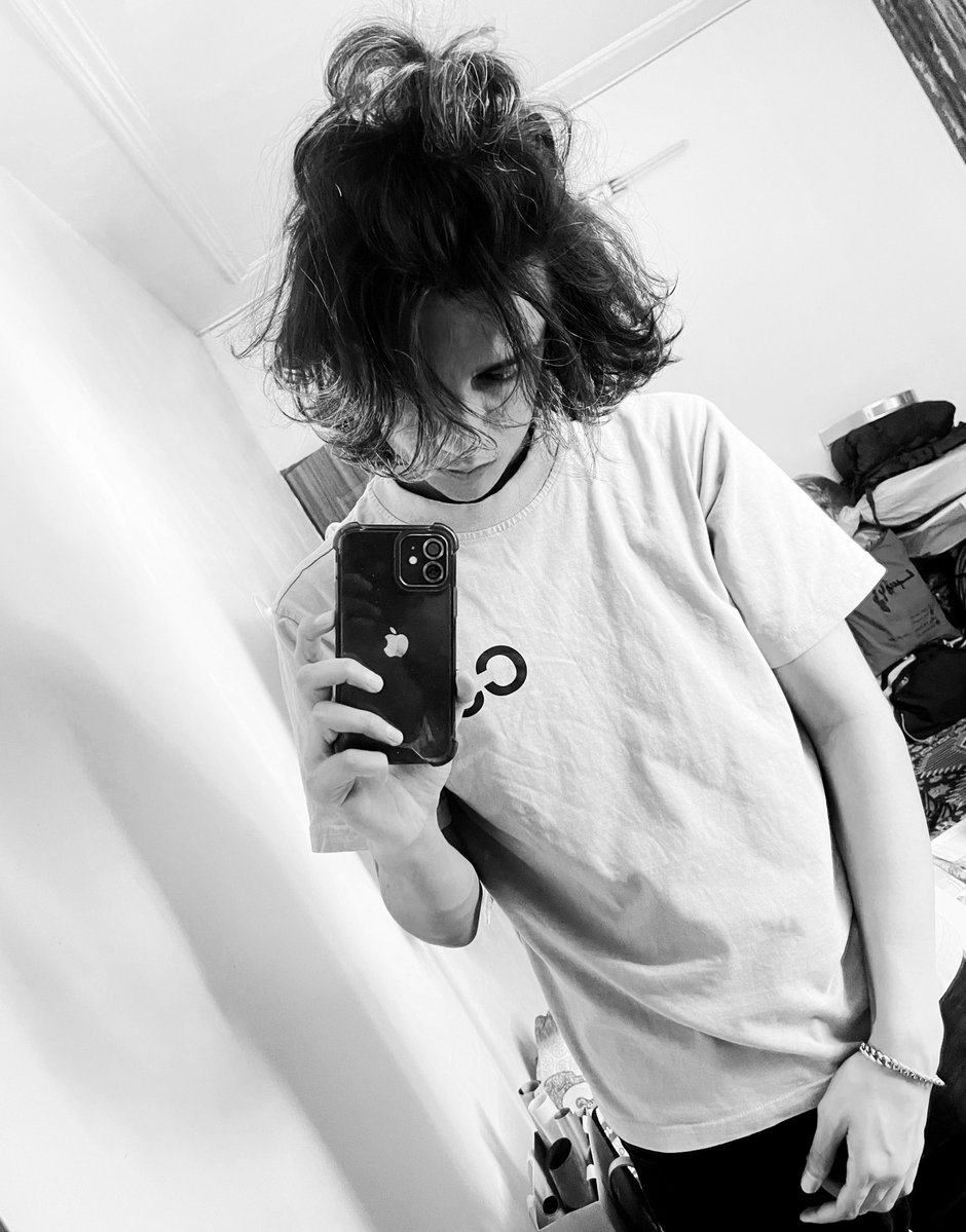 early life crisis tweet media