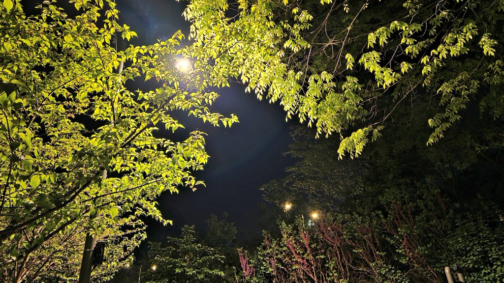 Peacism's tweet image. #Dinner #Icecream #GoodLuck :) 
#파이팅 ❤ #Korea #Seoul #Landscape #Sky #Food #KoreanFood #아이스크림 #배스킨라빈스 #baskiNrobbiNs #두바이에서온엄마는외계인 #Love #Always #Memory #Remember #Believe #함께 #고마워요 #기억 #생각 #다잘될거야 #힘내자 #사랑 #청춘 #희망 #도전 #봄