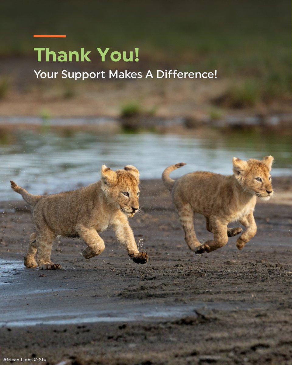 Rainforest Trust tweet media