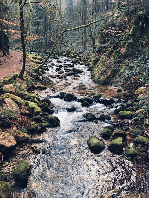 Eric Shields tweet media