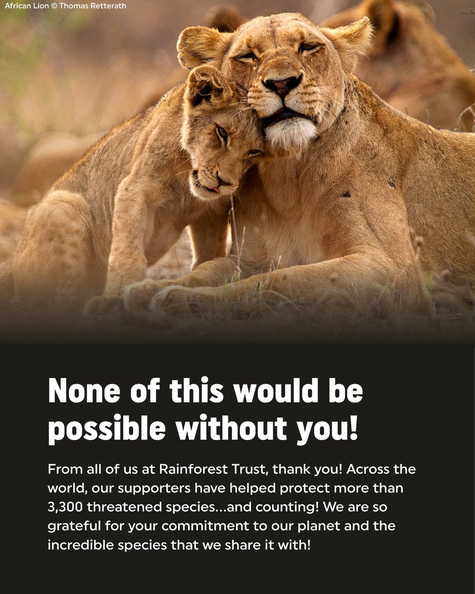 Rainforest Trust tweet media