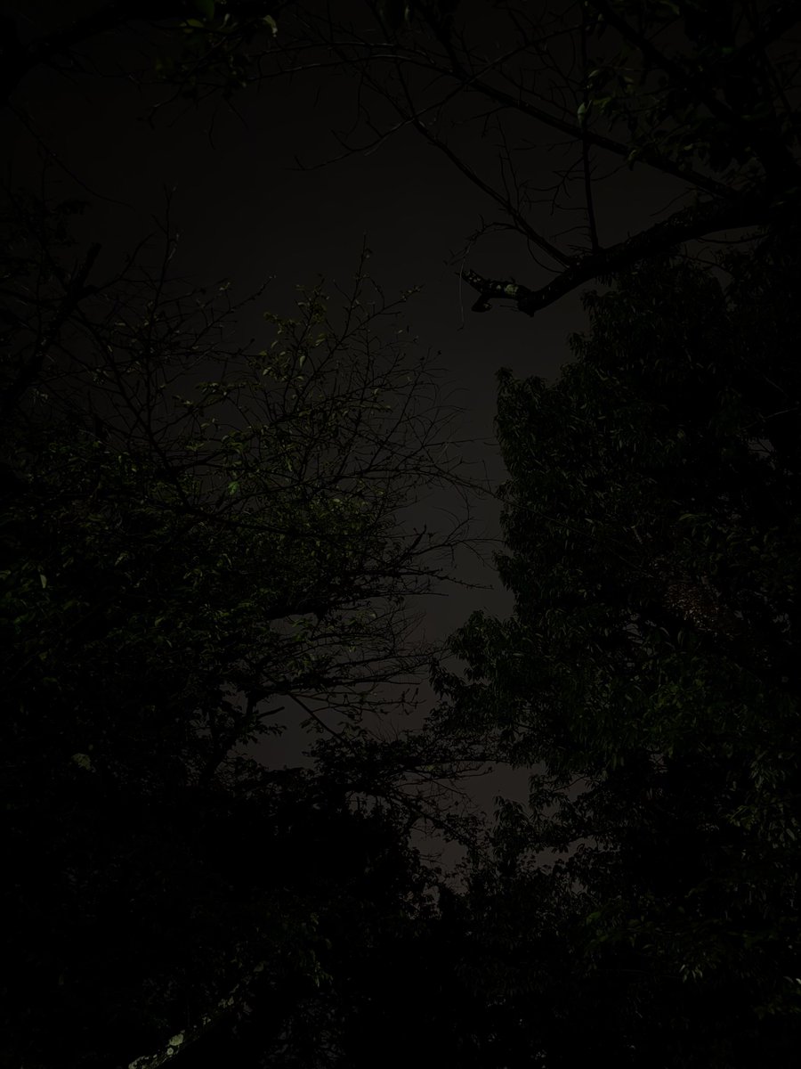 T͙a͙k͙e͙y͙a͙n͙ tweet media