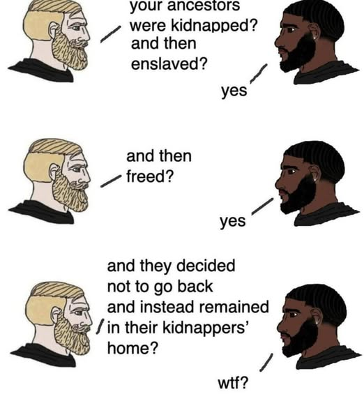 RYboating's tweet photo. Most were sold by their own people from their homeland. 

Then conservatives freed them. 

By all accounts, they should all be voting with the block that freed them - not enslaved them. 😉 https://t.co/8NL3vTyFVZ