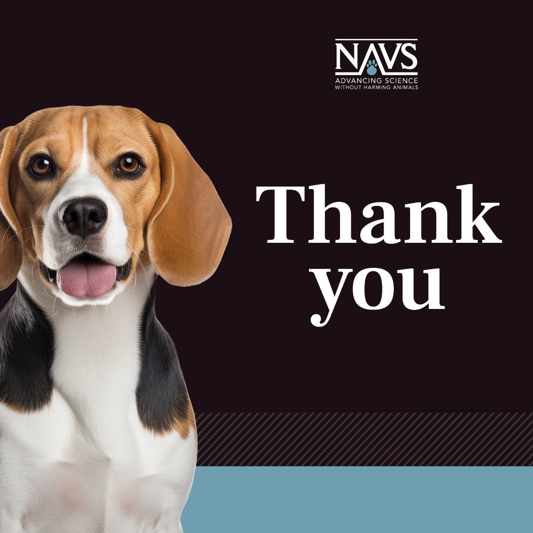 NAVS tweet media