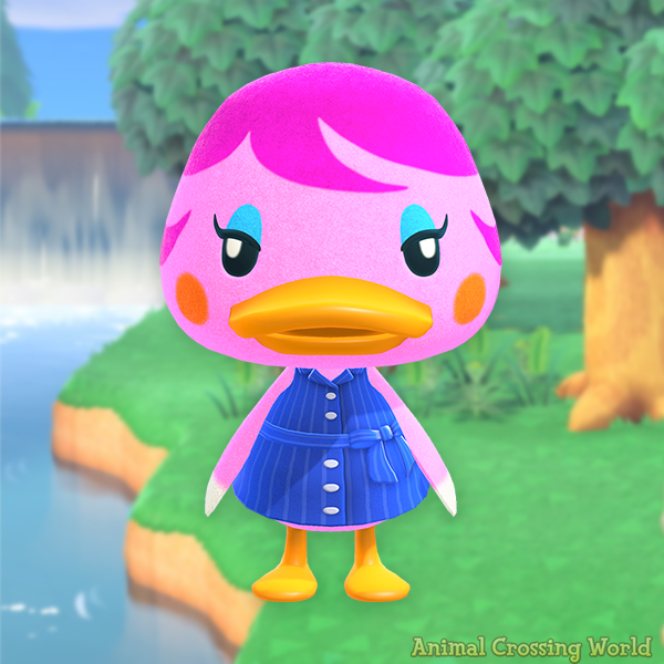 Animal Crossing World 🏝️ tweet media