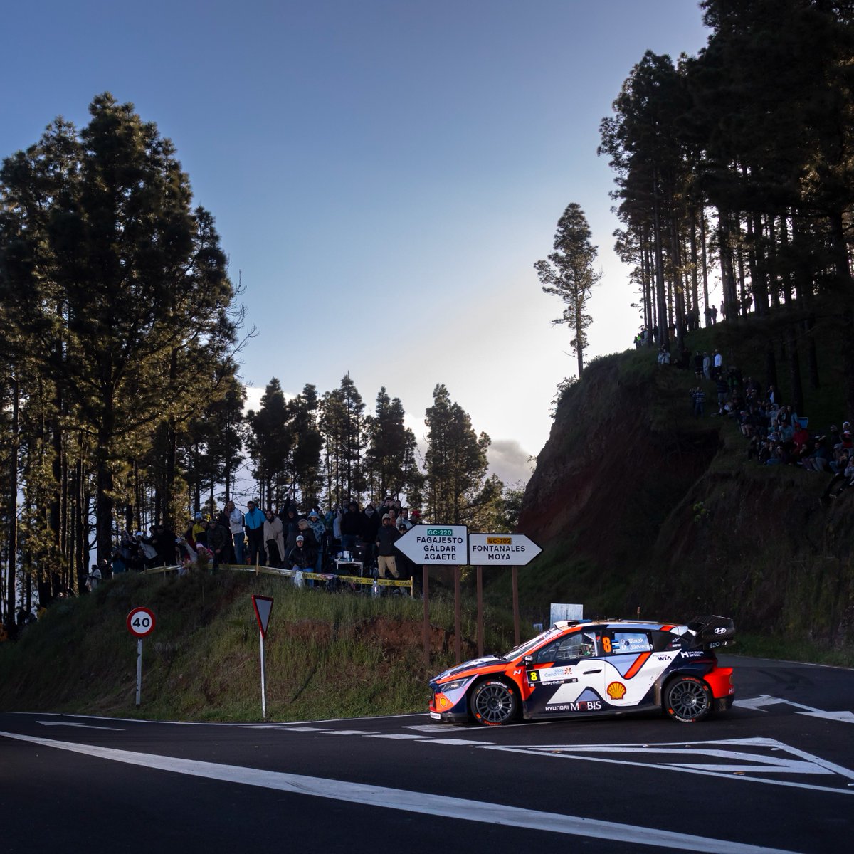 ShellMotorsportTeam tweet media