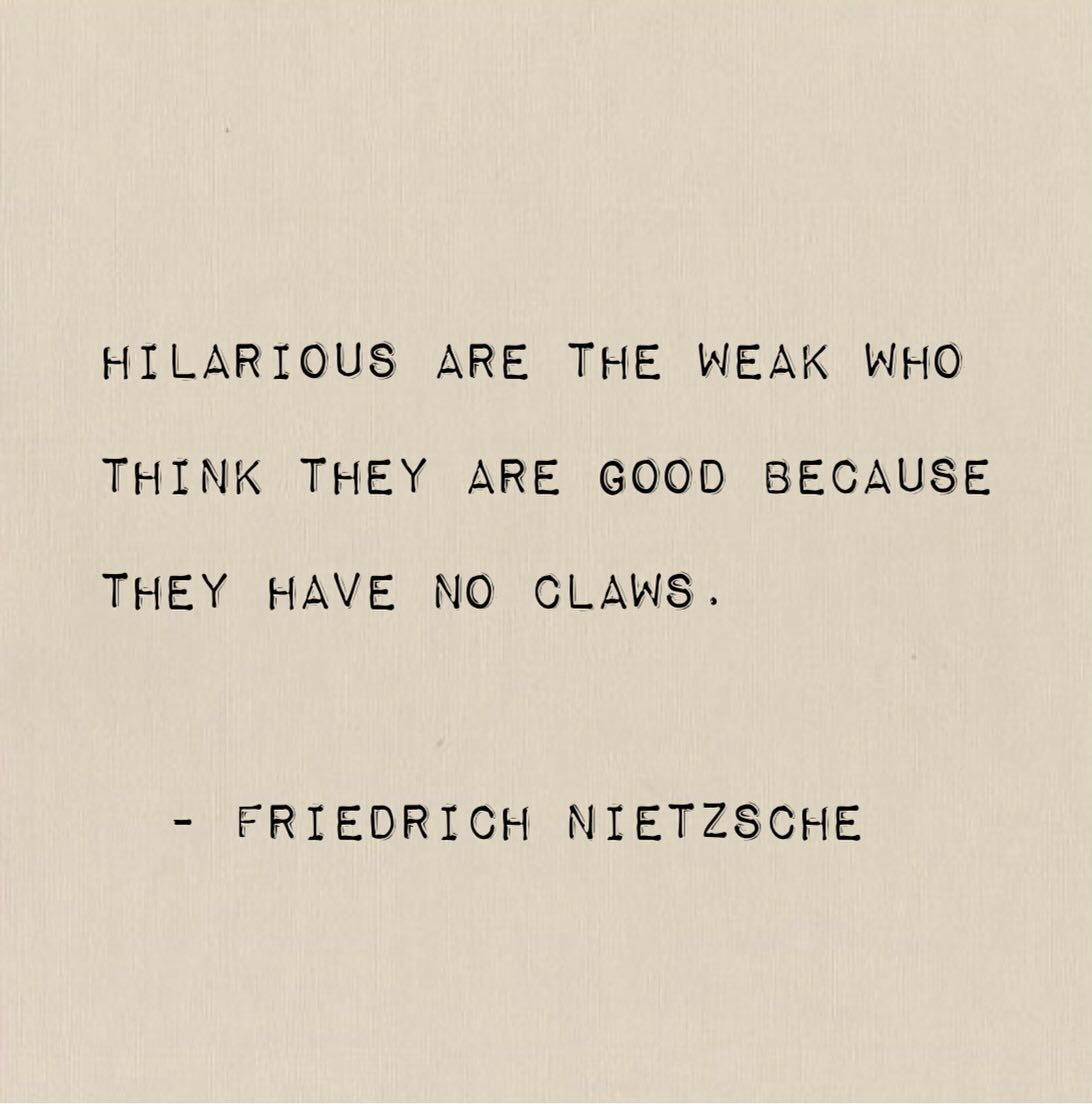 Friedrich Nietzsche Notebook tweet media