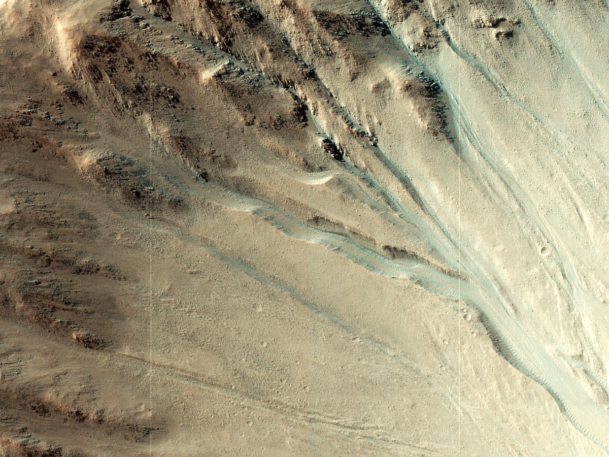 HiRISE's tweet image. HiPOD: Gullies with Extensive Debris Aprons

These gullies in Terra Sirenum have very extensive and detailed debris aprons. This image will be useful to understand more about gully formation processes. 

uahirise.org/hipod/ESP_0769…
NASA/JPL-Caltech/University of Arizona
#Mars #NASA