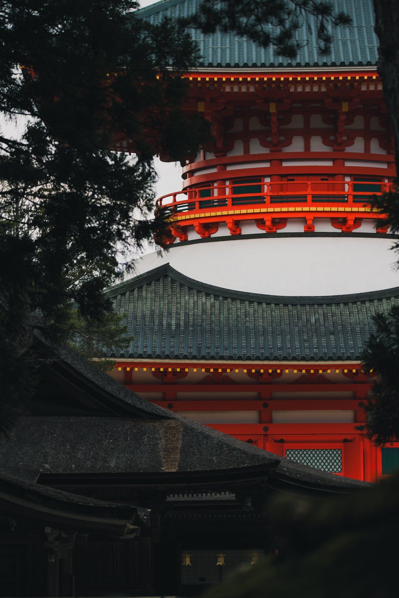 Chelonika's tweet photo. 久々に地元撮ったわ。
Lumix S1RII+SIGMA 150-600 DG OS contemporary https://t.co/QDdWMbSwX9