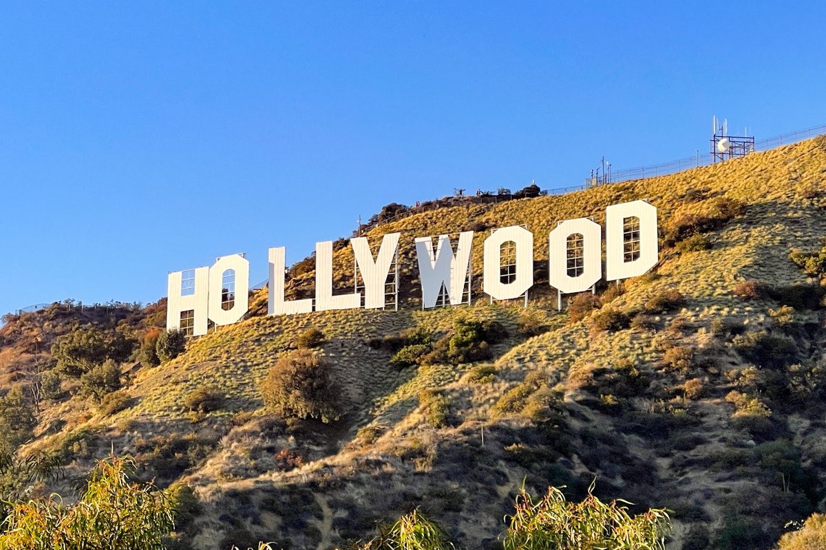 SimDoughnut tweet media