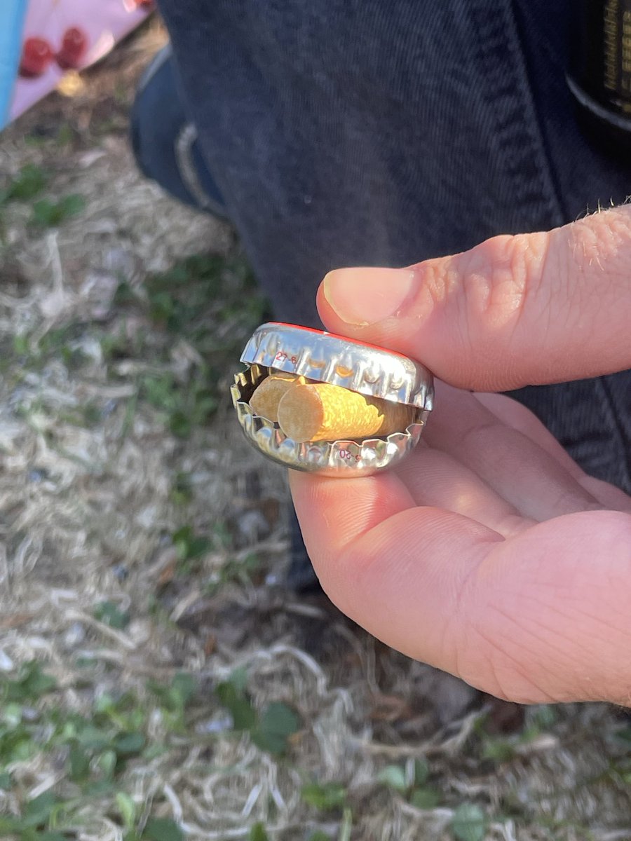 „mhmmm burger!” <a href="/TrellertvumLand/">Arnöldi den Trëllert</a>