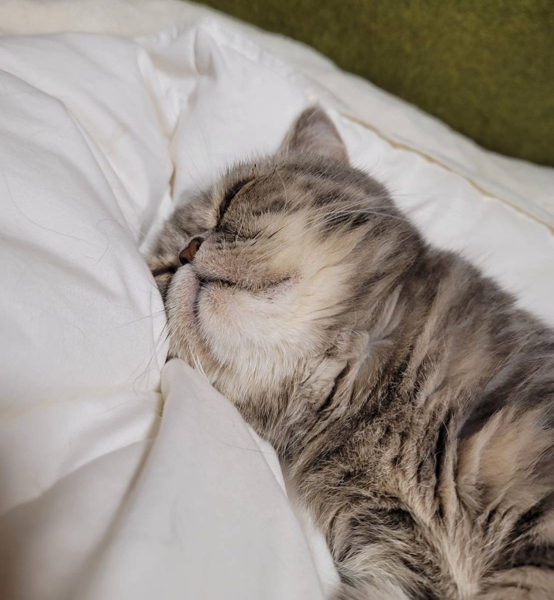 南　央美(OMI MINAMI) tweet media