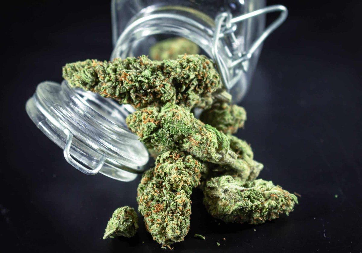 Leading Report tweet media