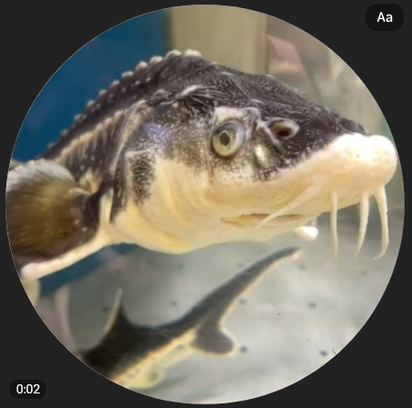 ☕кофеиновый архонт👁️👁️ tweet media