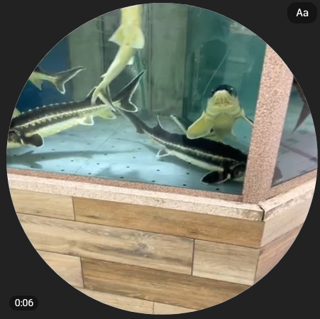 ☕кофеиновый архонт👁️👁️ tweet media