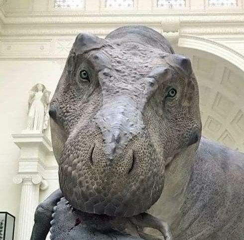 🎨benja-arts🎨 tweet media