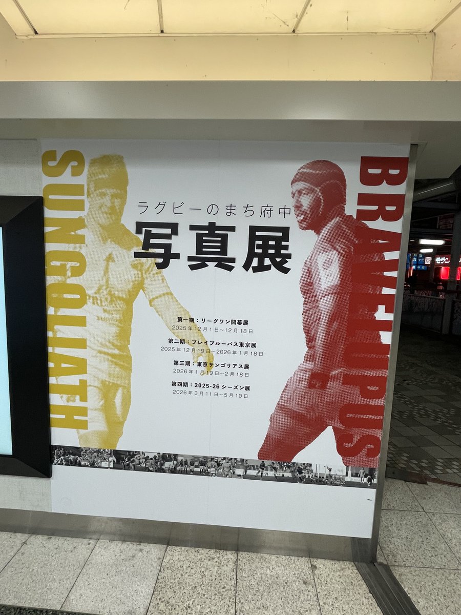 あつろ〜 tweet media