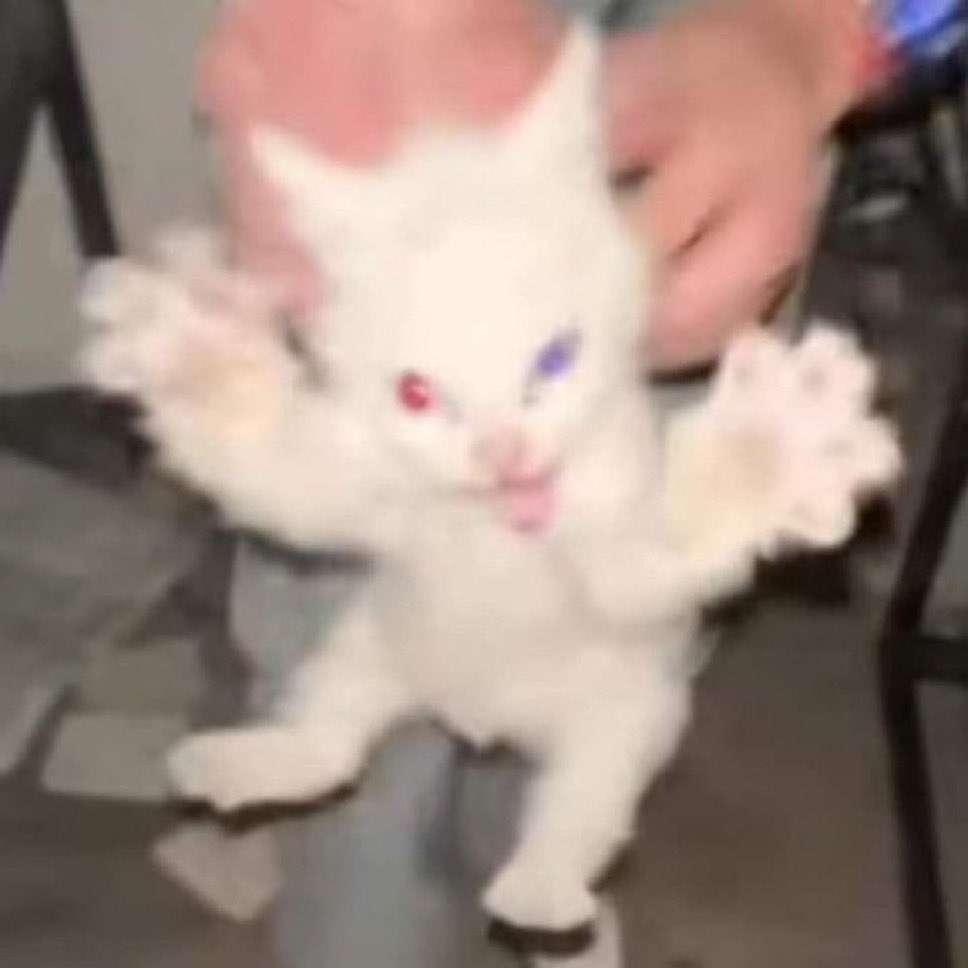 👹 AKUMA 👹 tweet media