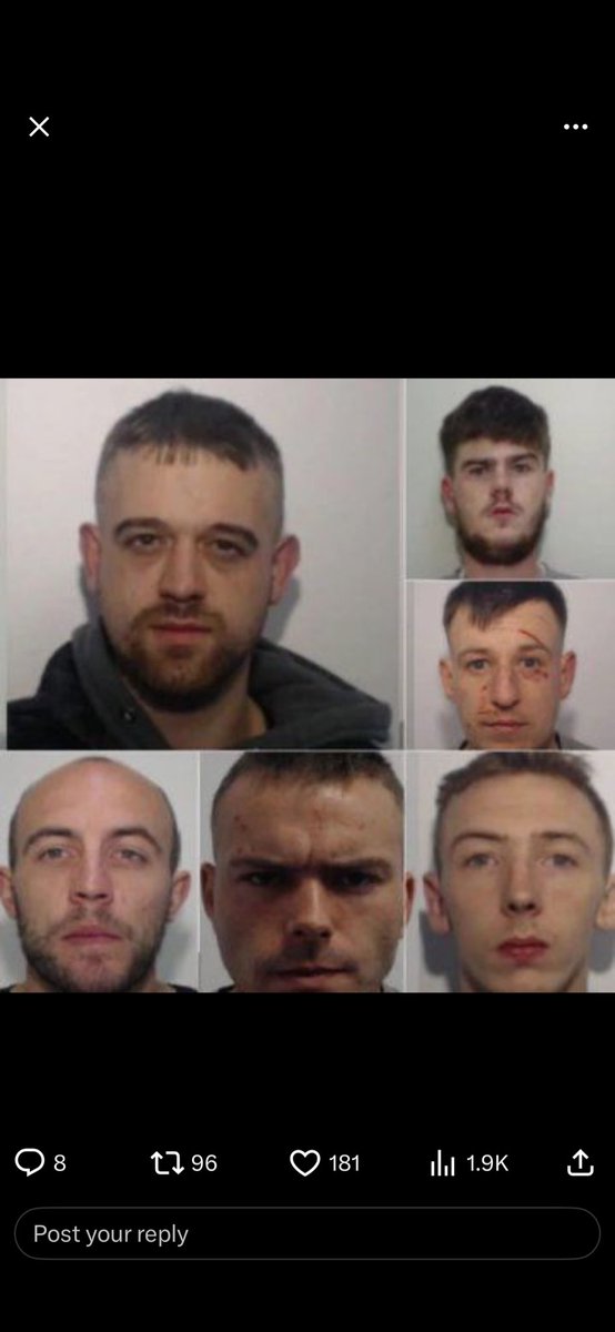 michael stephenson tweet media