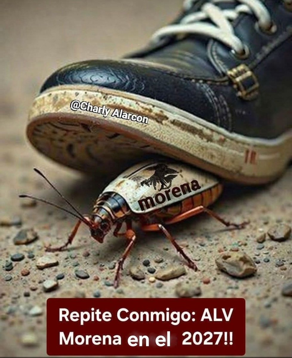 YA ESTAMOS LISTOS PARA MANDAR A LOS CHAIROS A CHINGAR A SUMADR€?

VAMOS A DARLE NO? 
👇
PROHIBIDO CALLAR 🤜👊
ALV MORENA EN EL 2027

#MorenaEsUnPeligroParaMéxico
#NiUnVotoAMorena