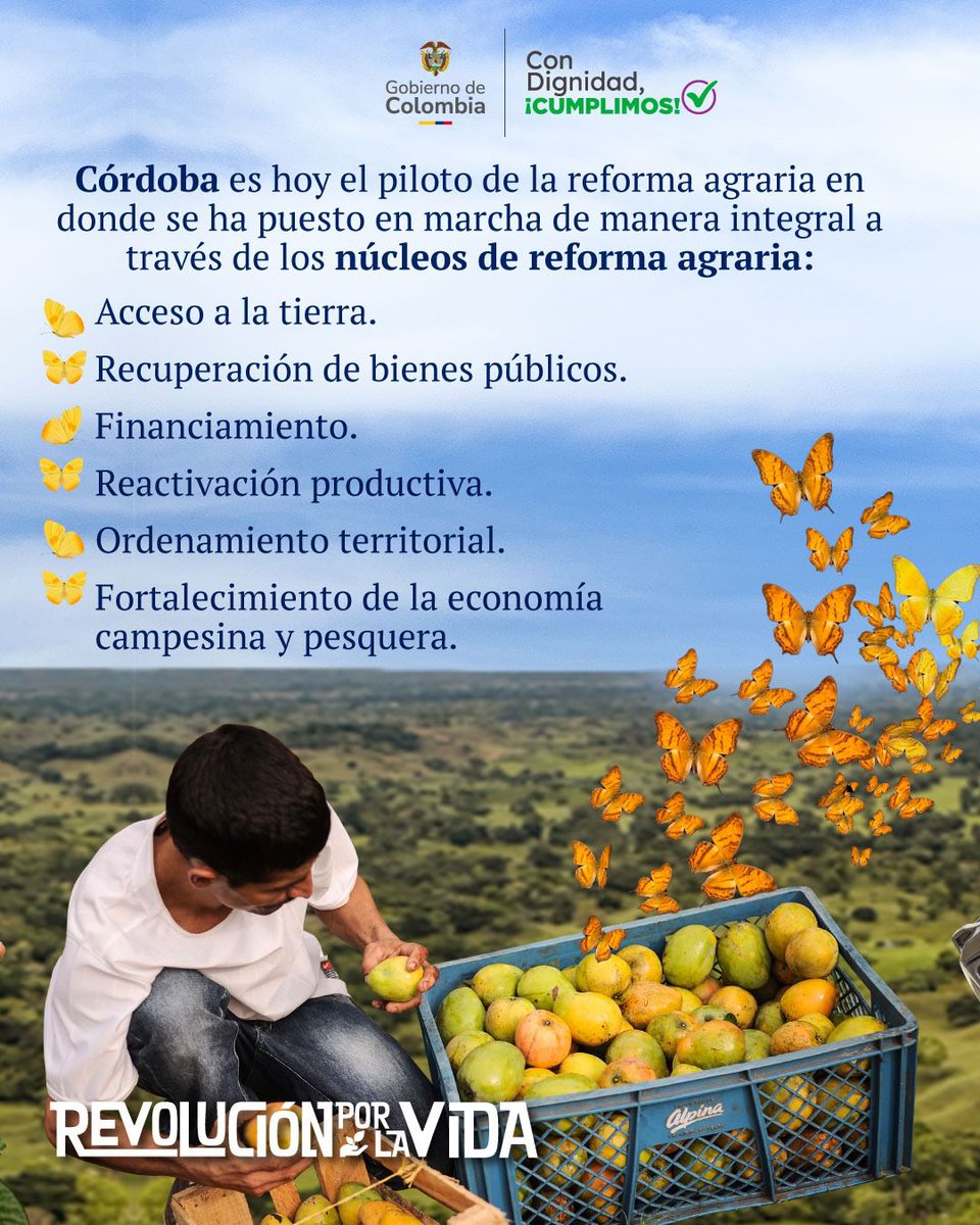 MinAgricultura's tweet image. ¡#Córdoba ☀️es uno de los departamentos epicentros de la #ReformaAgraria! 🥑 

Allí, la #RevolucionPorLaVida ❤️está implementando una apuesta de desarrollo rural integral, que combina tierras, producción, justicia y reparación. ✊🏽🌱
¡#ConDignidadCumplimos!