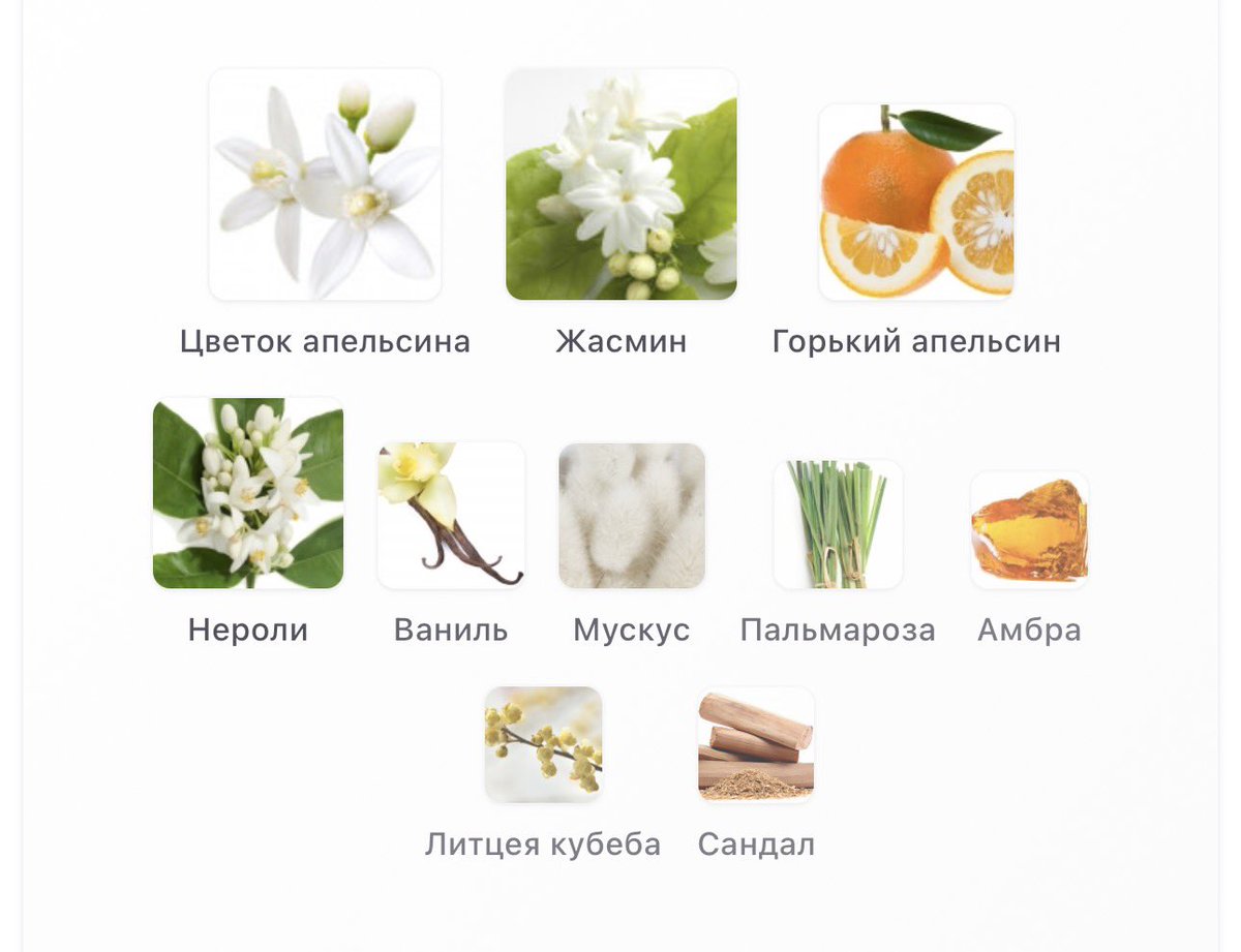 самой дорогой покупкой в поездке вышли импульсивно купленные духи. в магазине я почувствовала самый ароматный жасмин, сейчас дома на мне только ноты ебучего апельсина 😭😭😭 

аромат неплохой, но не то что я хотела((