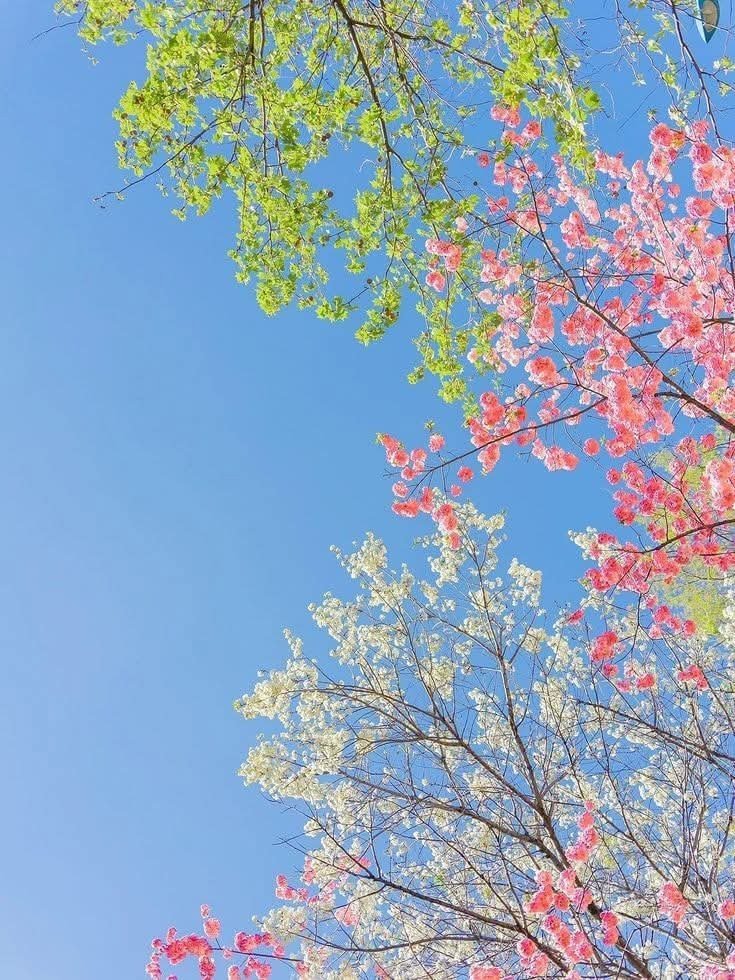 Aesthetics tweet media