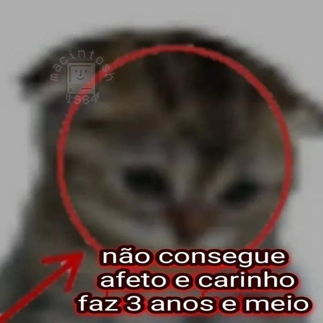 ★𝑹𝒂𝒇𝒆 𝒍𝒐𝒗𝒆𝒔 𝑳𝒐𝒍𝒊𝑩𝒂𝒉𝒊𝒂⋆.ೃ࿔*|🪼 tweet media