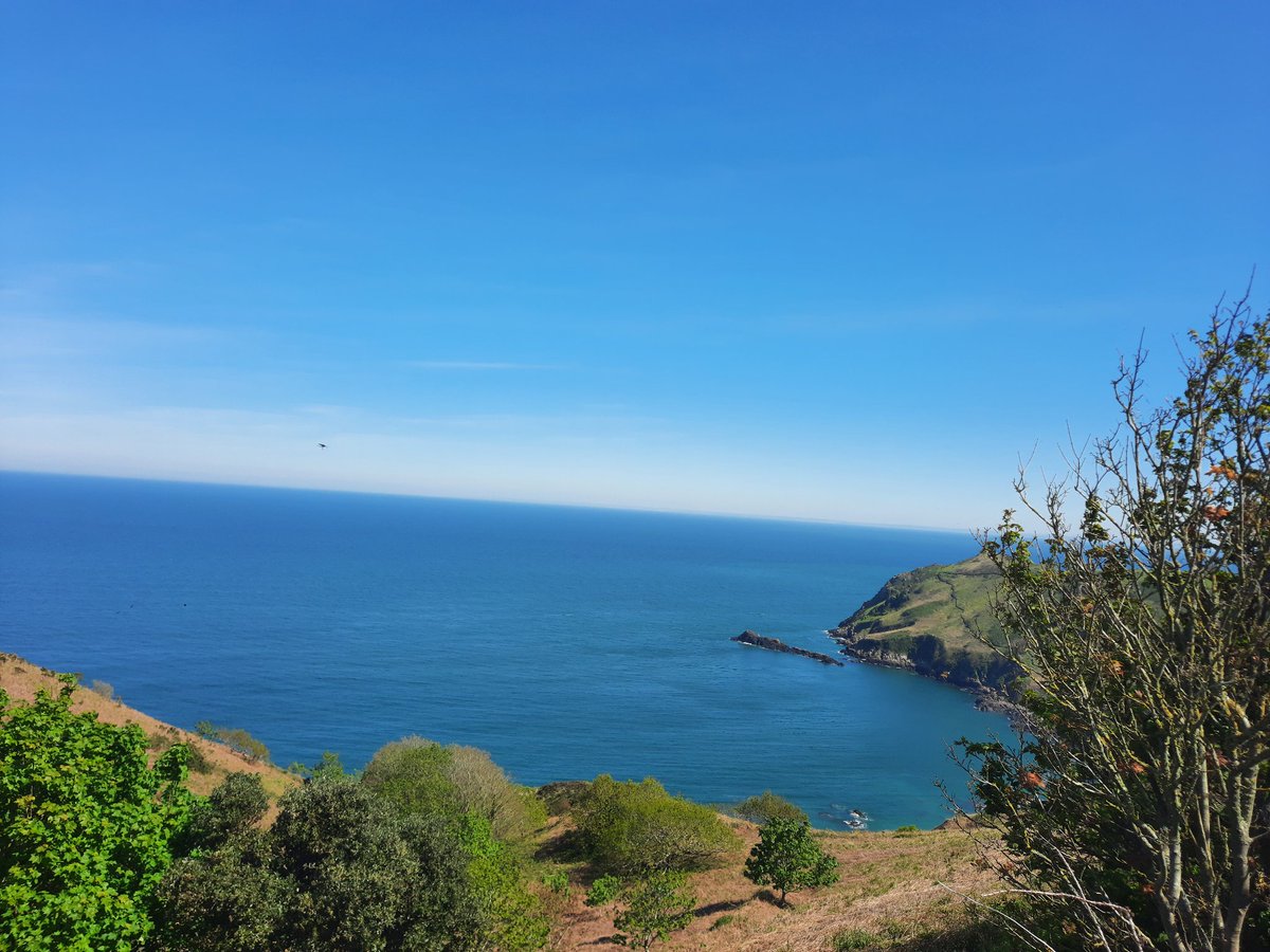 Alyson Meadowcroft, in memory of Macey, RIP 🌈. tweet media