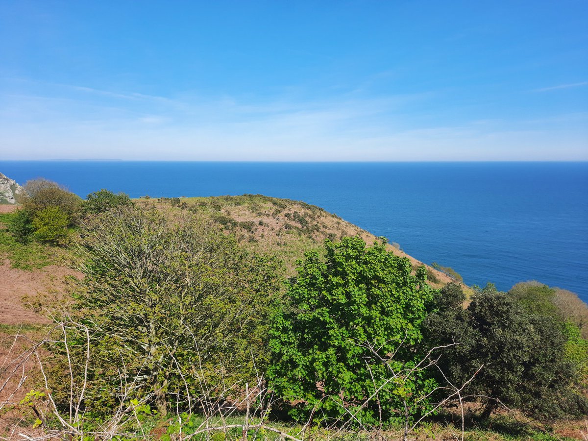 Alyson Meadowcroft, in memory of Macey, RIP 🌈. tweet media