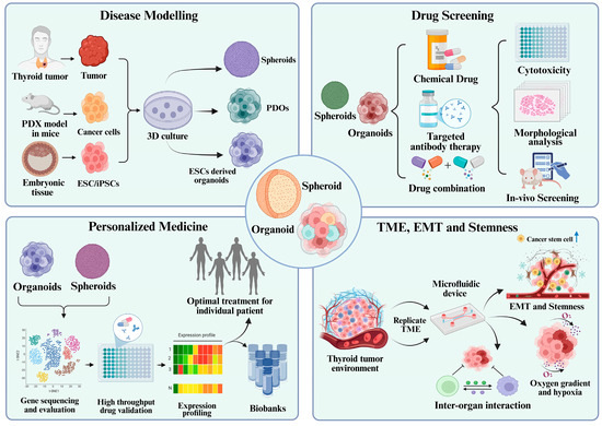 Organoids MDPI tweet media