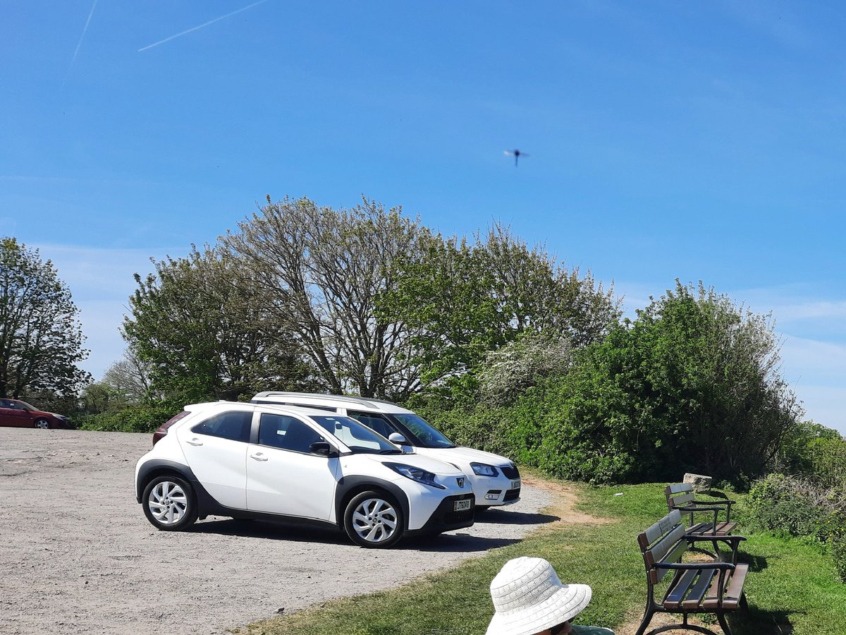 Alyson Meadowcroft, in memory of Macey, RIP 🌈. tweet media