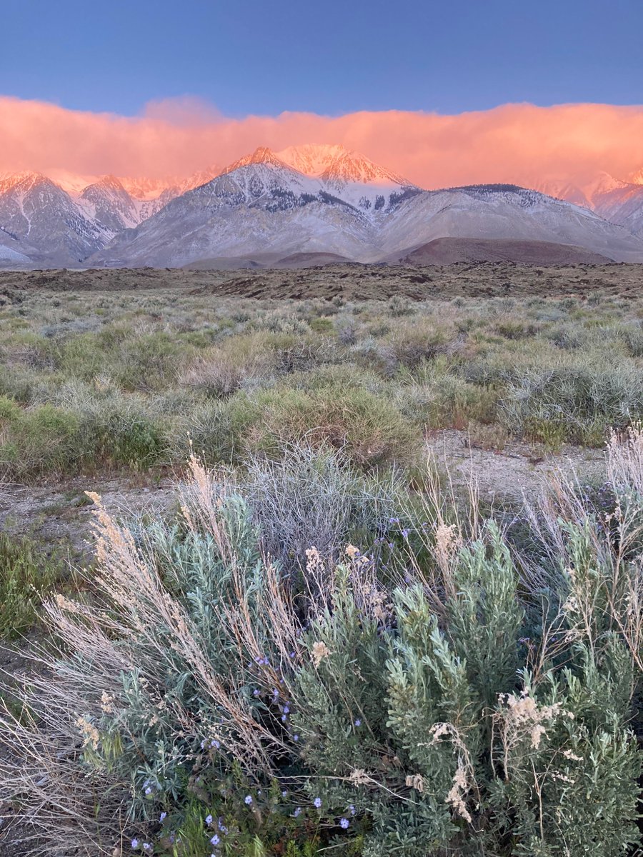 wildcreativity's tweet image. Nature’s beauty
her magnificent bounty
overflowing.

#haiku #naturephotography
#Storyin6