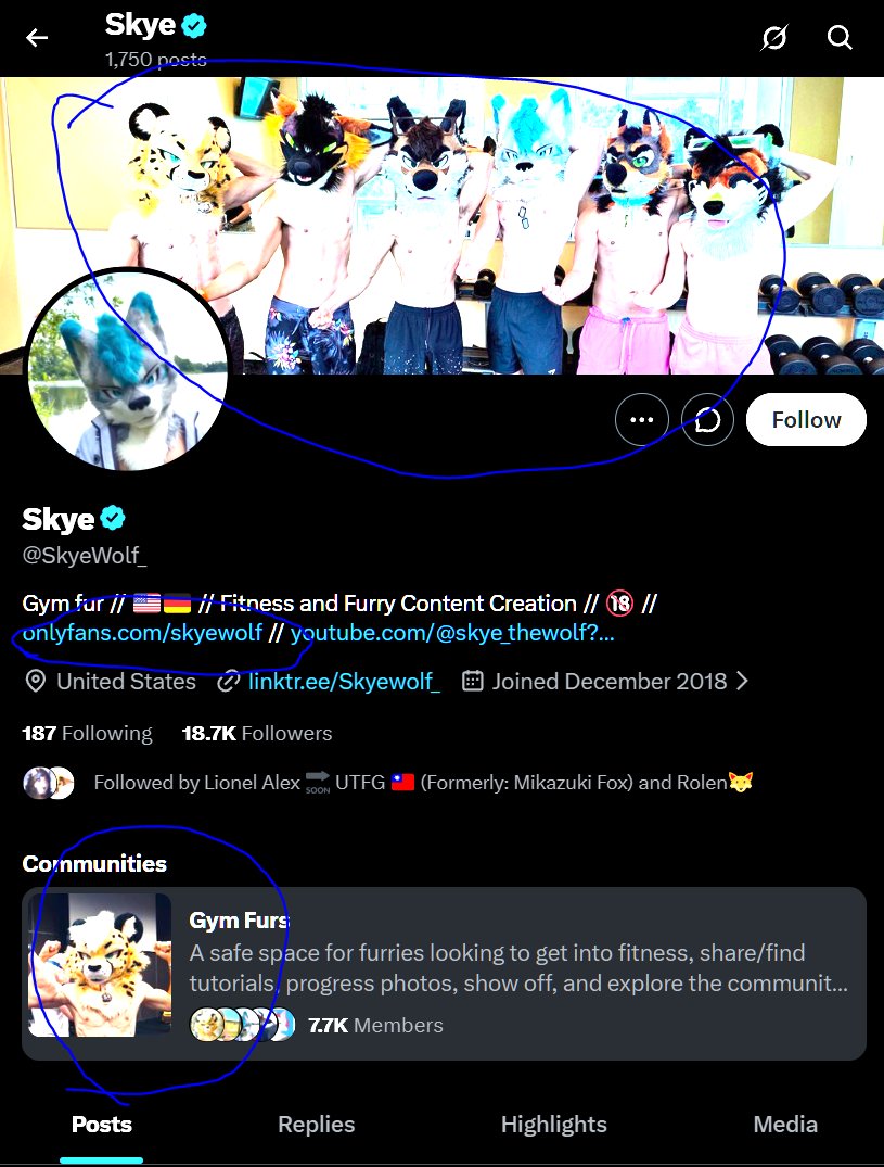 Lybreg's tweet photo. @SkyeWolf_ @moonsmoke94 Thats literally what you have/ are https://t.co/pBoDtMpG8N
