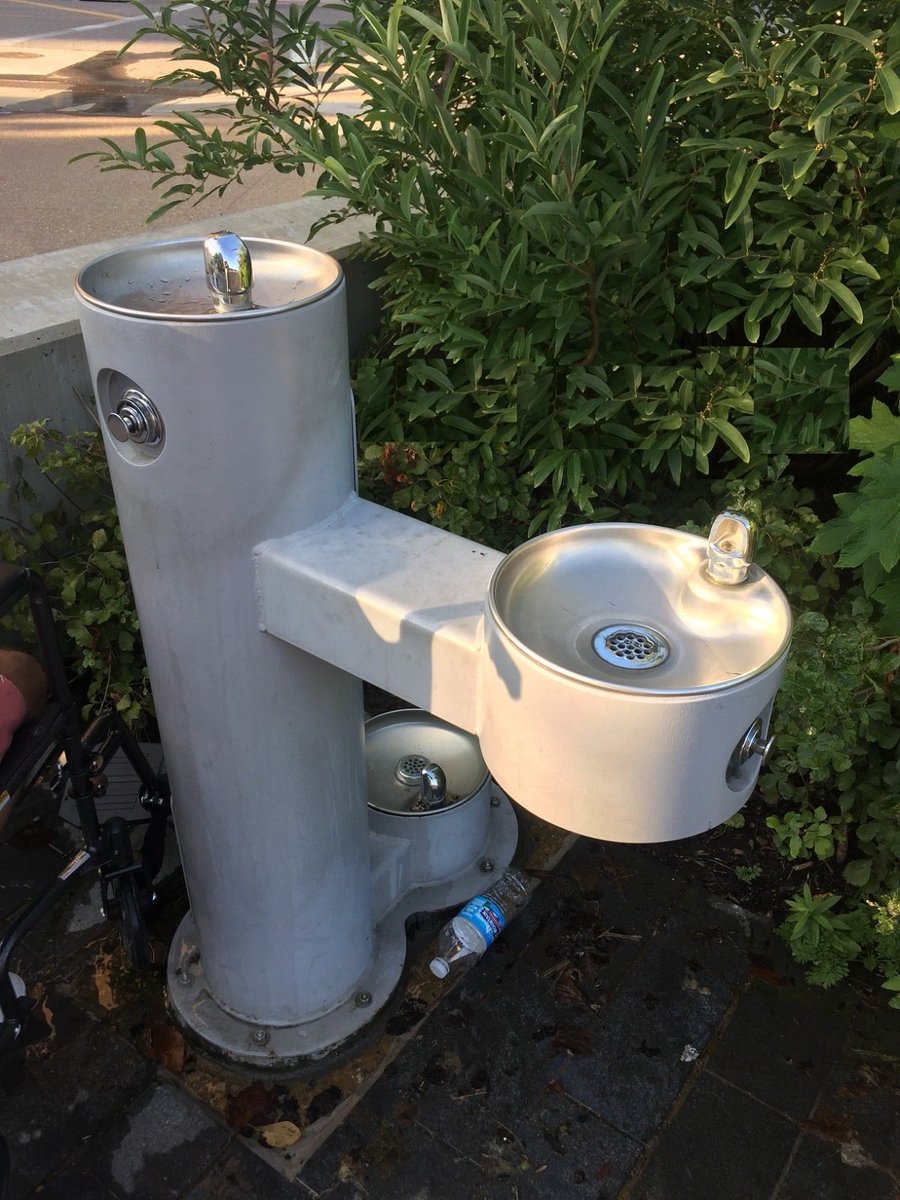 سعيد ابو نوره tweet media